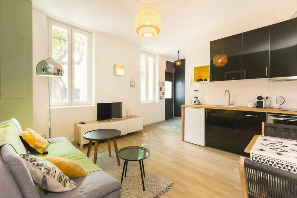 Apartment Mini Maison Studio Ancienne Renovee +Parking Avignon France