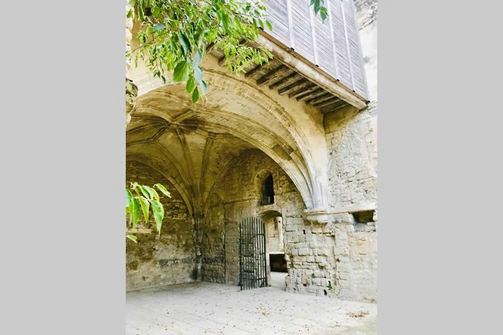 Mini Maison Studio Ancienne Renovee +Parking Avignon Apartment